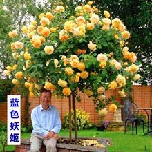 һ�����l�����ǘ䘶�¼������ش󻨶仨��ֲ��ͥԺ�ļ��_õ�厧��