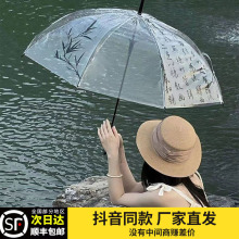 中式国风书法透明长柄雨伞女兰亭序竹高颜值氛围感拍照网红ins伞