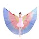 Children's Belly Dance Golden Wings Children's Indian Dance Golden Wings Dance Suit Performance Wings Props