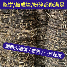 �����^���������K�����������A��ѷ۲����������ϳ���