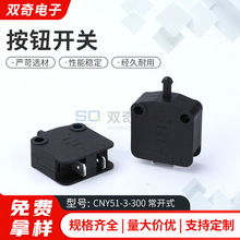 CNY51�� ��ѹʽ΢������ С�� �Ը�λ ��λ����CNY51-3-300����ʽ
