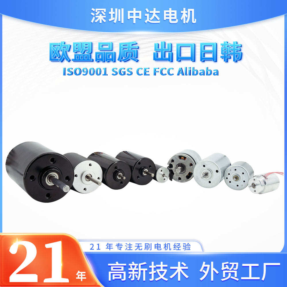 대외 무역 브러시리스 모터 공장 도매 맞춤형 DC 브러시리스 모터 3V 100V 브러시리스 모터 소형 모터