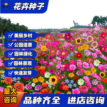 ��ͥ�@ˇ�û��N���ļ�Ұ���M�ϻ��ܷN���^���˹��ͥԺ ���ղ�