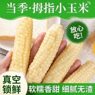 ʮ�µ���ͬ��S��ֱ�����l������ŴĴָ����Ŵ���״ּZ������