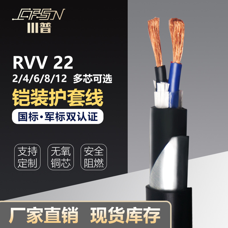 Customized Armored Rvv22 Cable 2-Core Outdoor Soft Wire Three-Core 12.5 4 6 Square Wire National Standard Pure Copper Core