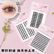 ʮ�Ŵ������ٽ�ë�ϼ�ȫ�Ҹ�̫ꖻ���Ȼ����зֶν�ëƽ�����l