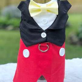 狗狗礼服迪士尼风宠物衣服 Mickey Minnie Pet Couple Outfit