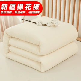 四件套;床单、被单;床罩床笠