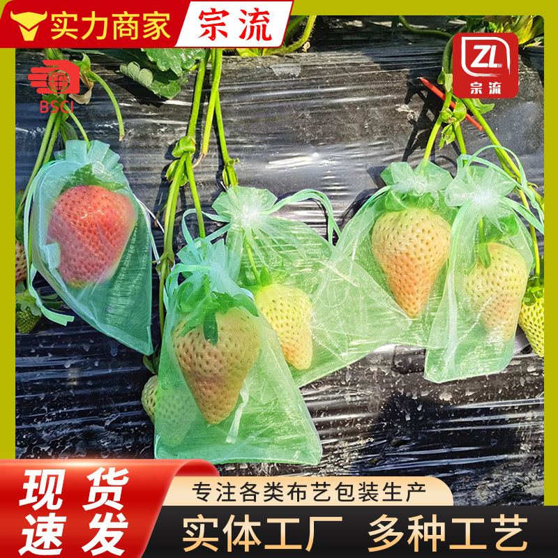 防虫网袋瓜果蔬菜防果蝇葡萄专用套袋火龙果无花果防鸟水果套袋