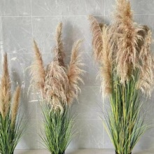 ��Ȼ�����JȔֲ�������̈��Ƶ꾰�^�b[�������zӰ�Ĕz���߾Gֲ