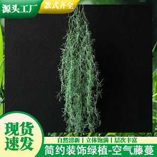 ���ْ�ڵ�픻�Y�T���b��������Ƶ��쾰��˹�ݿ羳����Gֲ