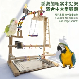 鸟笼;鸟类