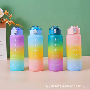 1000ml�����w�W���ʺ籭ĥɰ����̫�ձ��\��ˮ�؝u׃ɫ����ˮƿ