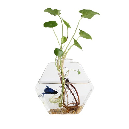 Creative hydroponic glass vase, flower arrangement hanging vase, pothos, copper money grass, desktop decoration glass crafts