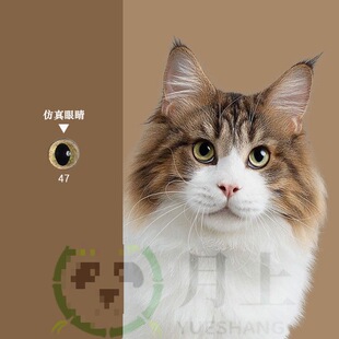 ؈����ë���۲����۾������x�۫Fͫ�ֹ���ż���diy����