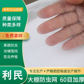 防虫网;其他塑料网;窗纱
