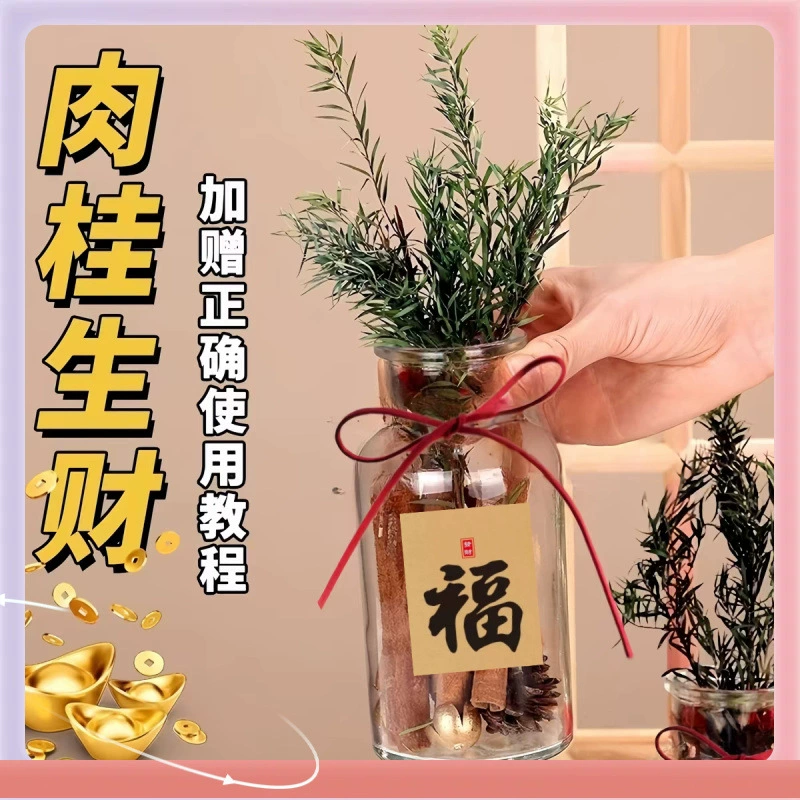 ➺ Стеклянная бутылка-подарок, маленькая, с изображением коричневого картофеля и корицы, приносящая удачу и богатство, узкое горлышко, новая, для прикроватной тумбочки, в лесном стиле, с веревочкой, пустая.