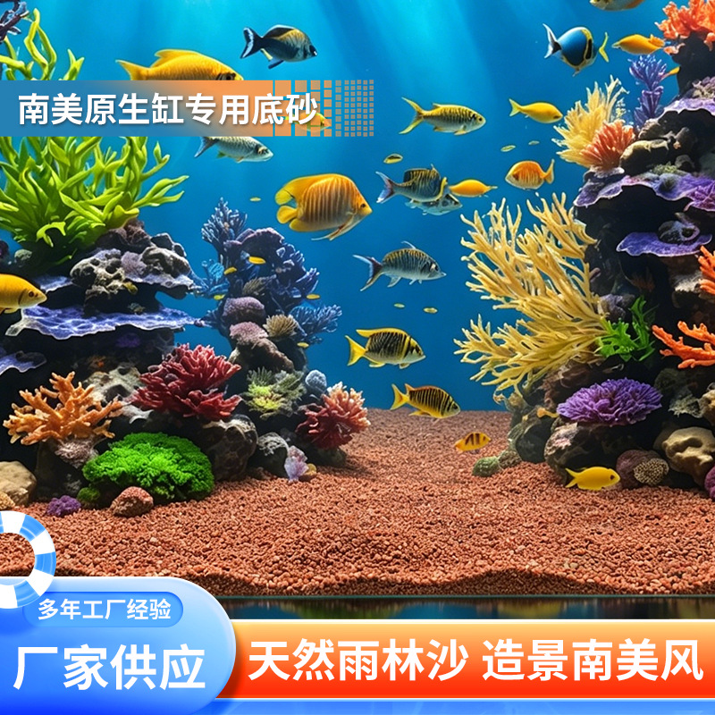 雨林沙鱼缸造景沙子水族装饰底砂细沙草缸溪流沙鱼缸底部砂