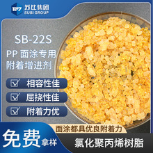 SB-22S 氯化聚丙烯樹脂代替9122P PP樹脂油墨/塗料樹脂促進附着力