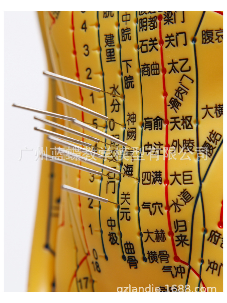 5262cm针灸人_13