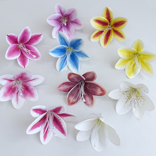 3D��ӡ�zƬ�ٺϻ���߶ȷ��滨��c�������������^��������l�l�