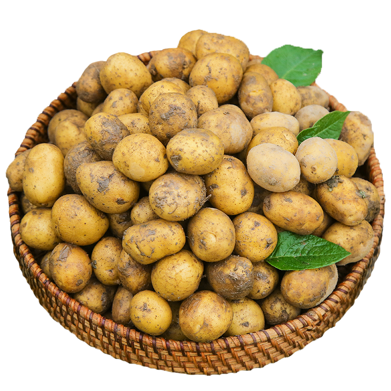 Enshi small potato fresh potato yellow heart thin skin potato potato now dug vegetables 10 potato fresh dug potato
