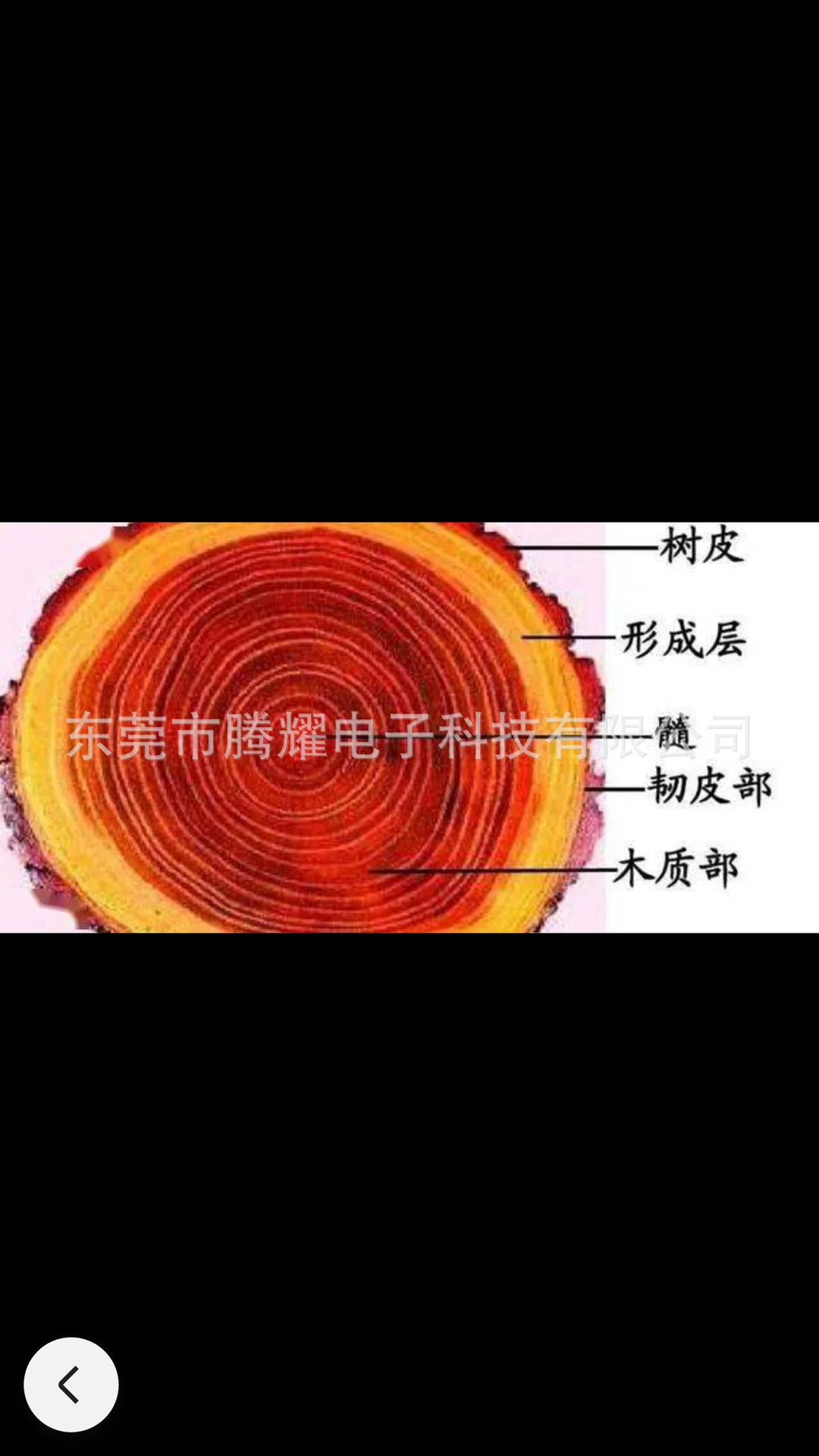 微信图片_202309070012206