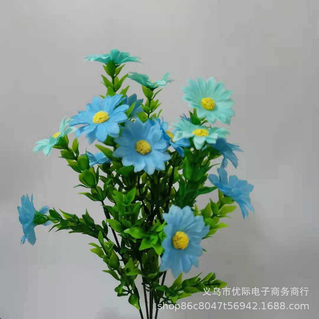 559a07388199ffafceaad875461847