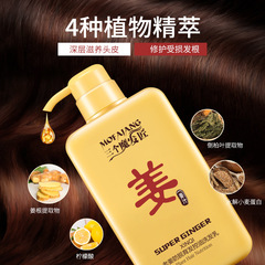 Three Magic Hair Craftsmen Brand Ginger Shampoo for Hair Loss Prevention and Hair Growth, Scalp Cleanser, Oil Control Shampoo for Wholesale