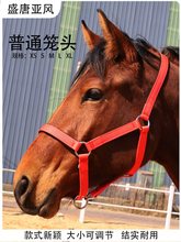 普通笼头 马术用品马笼套大小矮马龙头马具型头套配件全套全线板