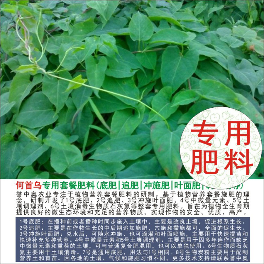 50�����аº�����ר���л��ʸ��Ϸʵ׷�׷��Ҷ��ʳ�ʩ��ˮ�ܷ�