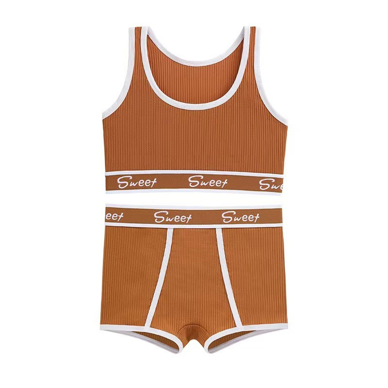 Traje deportivo de fitness europeo y americano transfronterizo Pantalones cortos para correr Ropa interior deportiva para mujer Pantalones bóxer Comercio exterior Traje de sujetador de talla grande