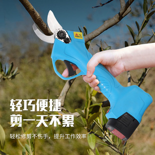 电动修枝剪电动剪刀充电式锂电园林工具果树果枝剪专供线下实体店-阿里巴巴