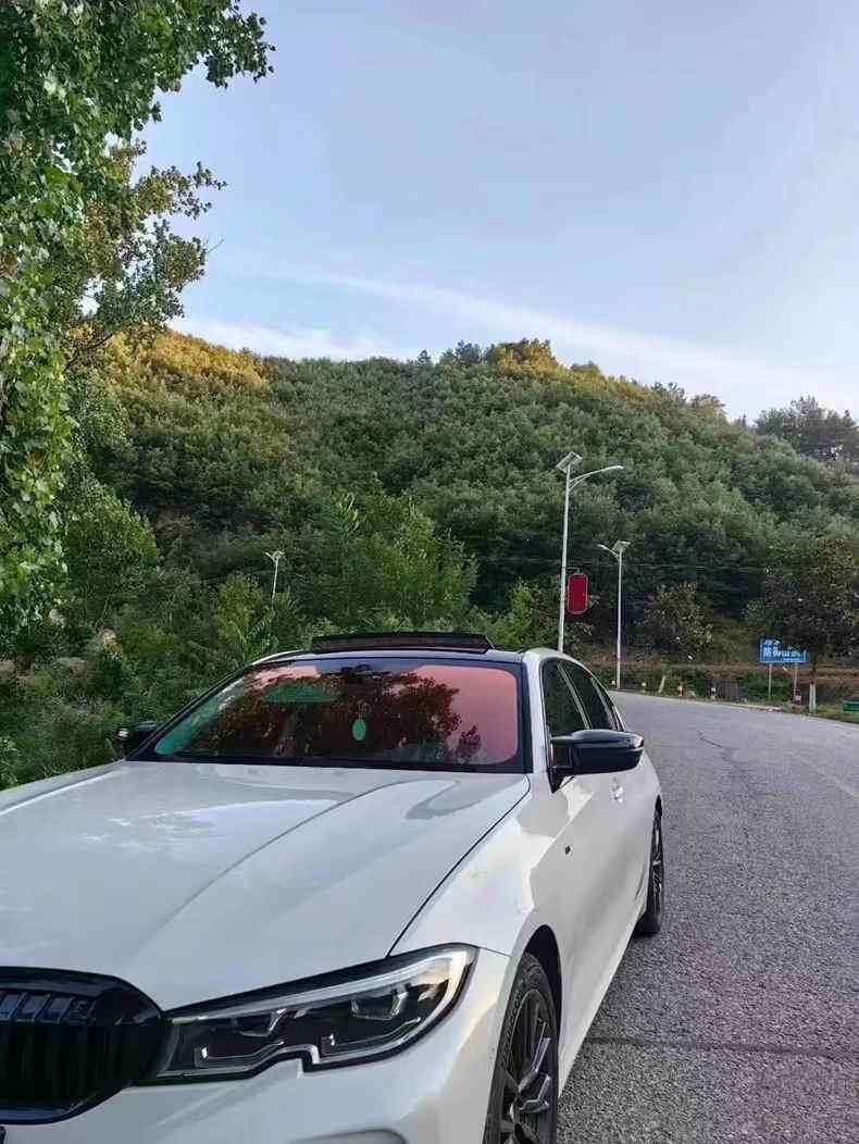 Rose Ghost Car Window Film Sunscreen Colorful Purple Heat Insulation Film Solar Film Front Windshield Optical Film