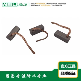 碳刷、电刷;电动机配件