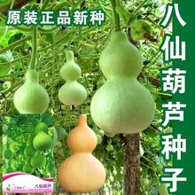 ���ɺ��J�N�ӏS�����l�׻���ɺ��J�ϷN��ͥԺ���������^���J����