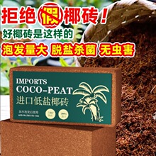 Ҭ�u�I�B���B��ͨ����Ҭ����Ҭ����Ҭ���N�˻����Nֲ��KҮ�u