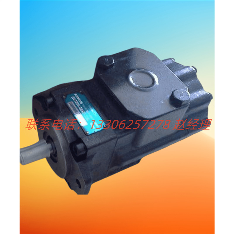 美国DENISON丹尼逊叶片泵T6DC 050 025 1R02 B1现货供应全新