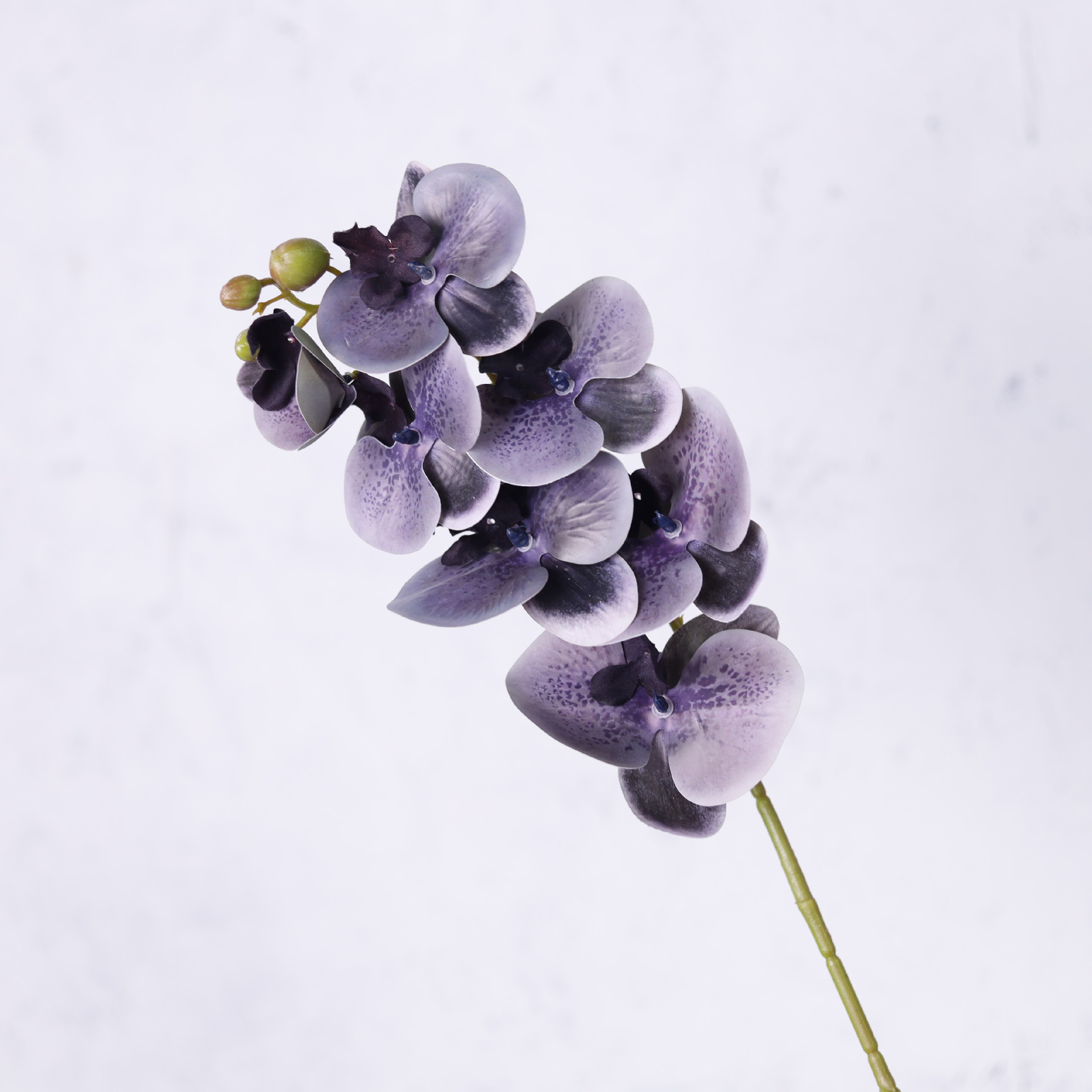 Impresión 3D de 7 cabezas de orquídeas mariposa flor de decoración de flores de alto nivel flor de nicho decoración floral decoración de sala de estar