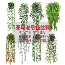 ����Gֲ���R�d�Ғ����������_�������˜I�ȼ�����˹�~�ٴ��l�辰