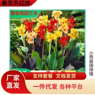 һl˽NˮBˮ໨ͥԺֲﻨ