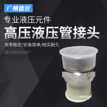 Parker/派克 EO DIN 标准油口连接高压液压管接头 GE18LREDOMDCF