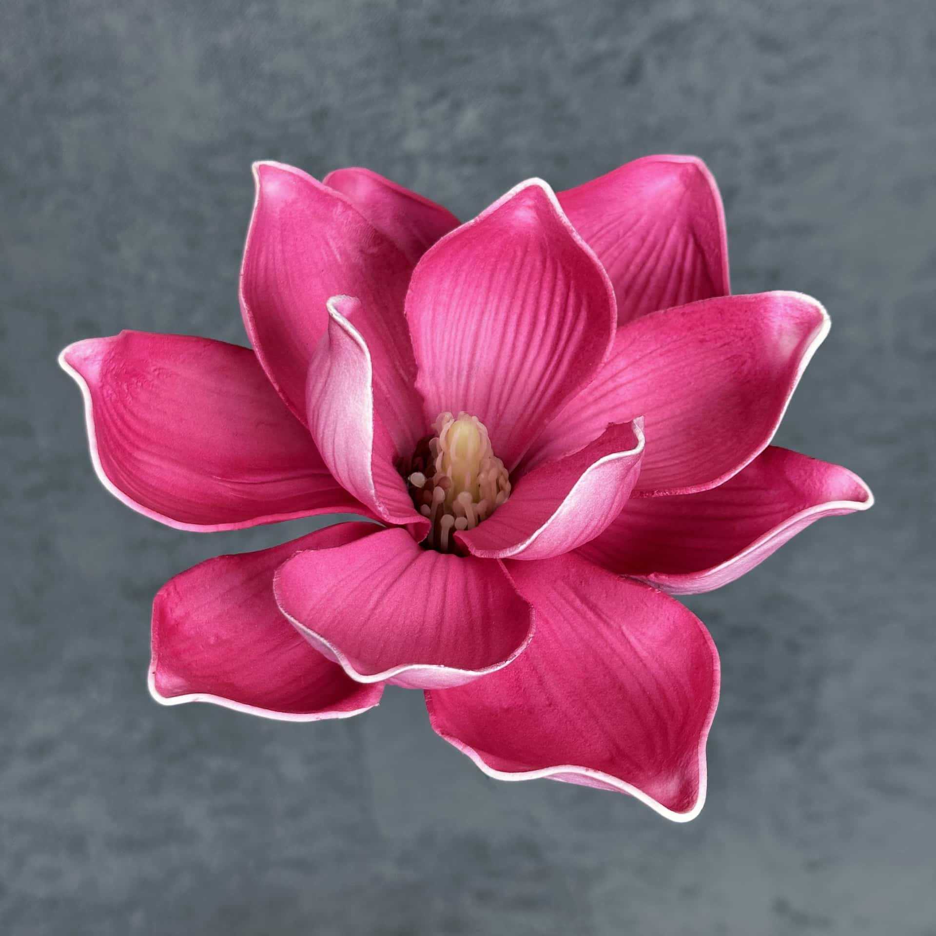 Flor de simulación transfronteriza EVA cabeza de magnolia 13cm tacto tocado kapok decoración decoración decoración flor falsa al por mayor