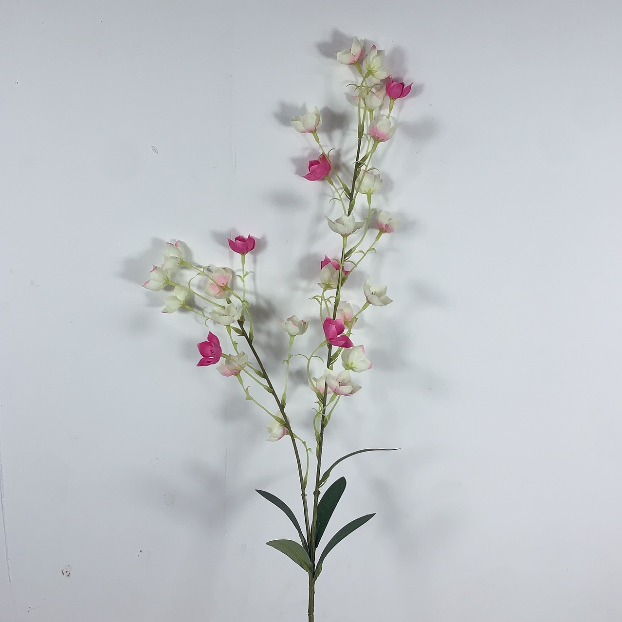 분홍색