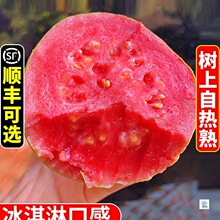 �V��ܛŴ�t�İŘ�5�����rˮ����ʯ�����ܛŴ��֬�t�͘�������]3