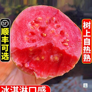 �V��ܛŴ�t�İŘ�5�����rˮ����ʯ�����ܛŴ��֬�t�͘�������]3