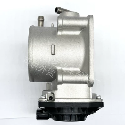 Assembly Throttle, Drossel