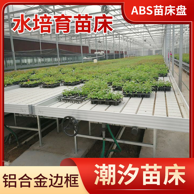 fruit and vegetable farm tidal seedbed moving seedbed sprinkler irrigation greenhouse system seedling raising flower raising fixed seedbed fruit and vegetable farm tidal seedbed moving seedbed sprinkler irrigation greenhouse system seedling raising flower raising fixed seedbed