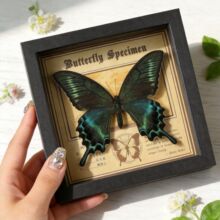 ��Ȼ������˱���� �����b�diy���ս̎����Y���ͶY���I�Y��