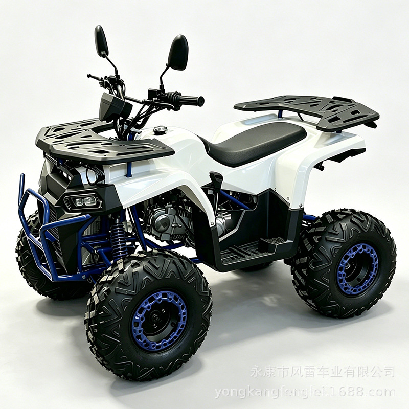 Cuatrimoto ATV Todo Terreno 125-250CC de Hierro y Plástico con Transmisión Automática para Montaña image 4